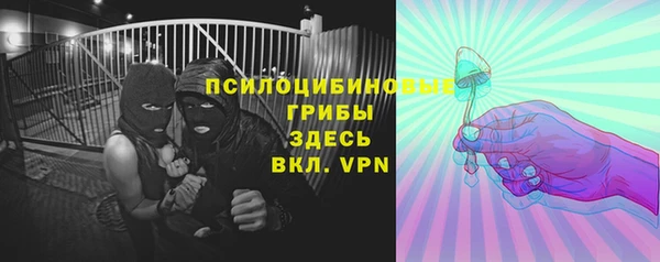 мяу мяу мука Баксан