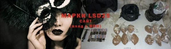 мяу мяу мука Баксан