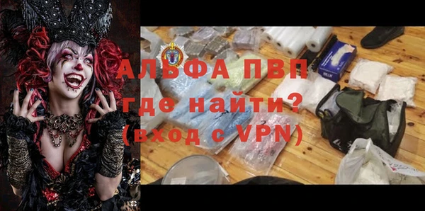 мяу мяу мука Баксан