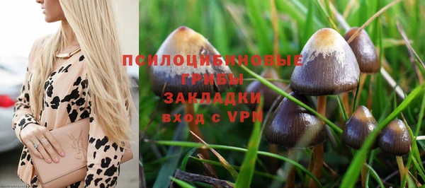 мяу мяу мука Баксан